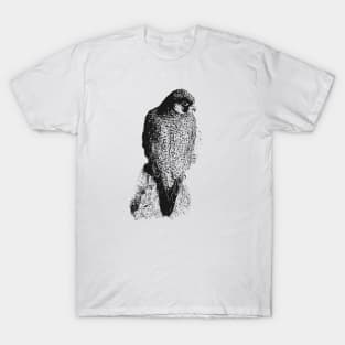 Falcon T-Shirt